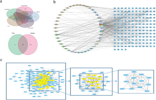 Figure 1. Network pharmacology analysis results in presentation. a: Disease target and drug-disease shared target acquisition. b: Bushen Huoxue Recipe (BSHX) " Chemical Composition-Common Targets-Disease Information Network Diagram. c: Protein-protein interaction (PPI) network diagram of key and core targets.