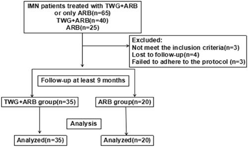 Figure 1. Flow diagram of patient enrollment. TWG: Tripterygium wilfordii polyglycoside; ARB: angiotensin receptor blocker.