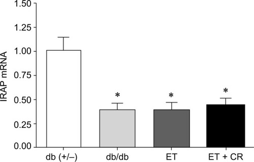 Figure 5 The effects of diabetes, ET, and CR on cardiac IRAP mRNA expression.
