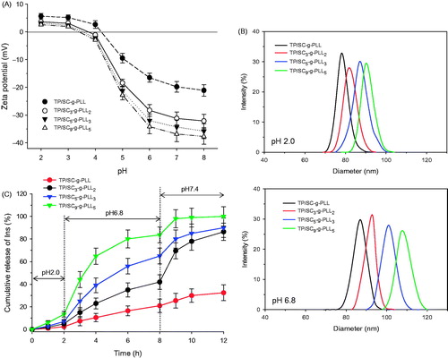 Figure 5. (A) Changes of surface zeta potential of PLVs self-assembled from various grafted polymers as a function of hydration medium pH values. (B) Typical hydrodynamic diameters of PLVs at pH 2.0 and pH 6.8 medium. (C) In vitro release profiles of insulin from PLVs in simulated digestion liquid with different pH values.