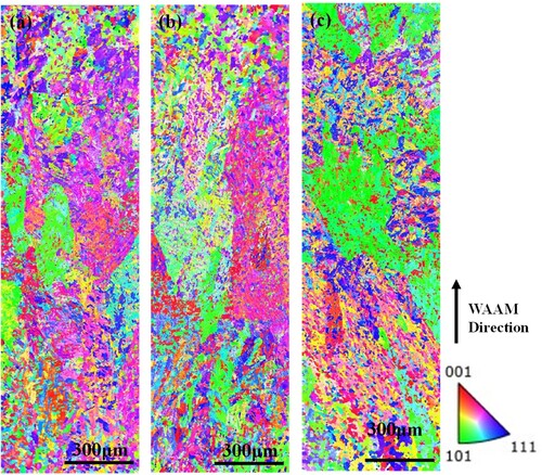 Figure 15. Inverse pole figure (IPF) maps of the middle deposition layer in ultrasonic impact assisted wire arc additive manufacturing of 18Ni-300 steel.