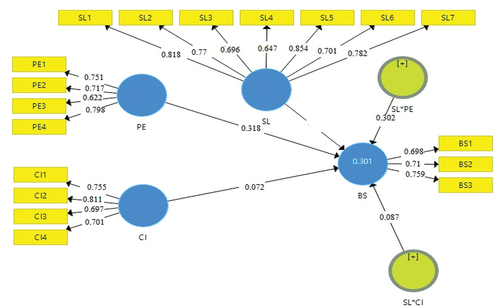 Figure 2. Relationship strengths on the structural model.