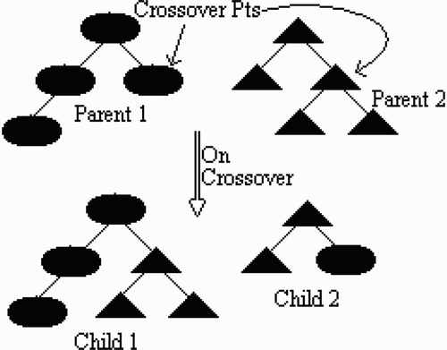 Figure 2. Crossover operation.