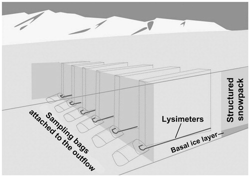 FIGURE 2. Schematic sketch of the snow pit at Midtre Lovénbreen where six lysimeters were installed on 19 June 2010. The lysimeters were installed approximately 10 cm above the basal ice layer to prevent any water, flowing on top of the glacier ice, from entering the lysimeters.