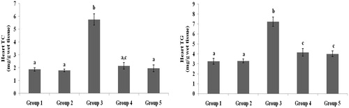 Figure 7. Effect of galangin on abnormal changes of heart total cholesterol and triglyceride levels in rats with STZ-induced hyperglycaemia. Data are presented as mean of six rats per group ± S.E. Groups 1 and 2 are not significantly different from each other (a, a; p < 0.05). Groups 4 and 5 are significantly different from Group 3 (b vs. ac, a, c; p < 0.05). Group 1: healthy control rats; Group 2: healthy control +8 mg galangin; Group 3: diabetic control; Group 4: diabetic +8 mg galangin; Group 5: diabetic +600 µg glibenclamide.