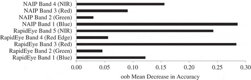 Figure 3. Relative importance of predictor variables for NAIP and RapidEye at common cell size (6.5 m) as estimated by the oob mean decrease in accuracy by RF.