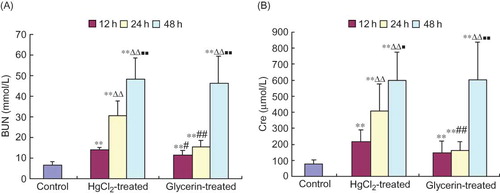 Figure 1. Changes of biochemical indexes of renal function in rabbits (mean ± SD, n = 6).