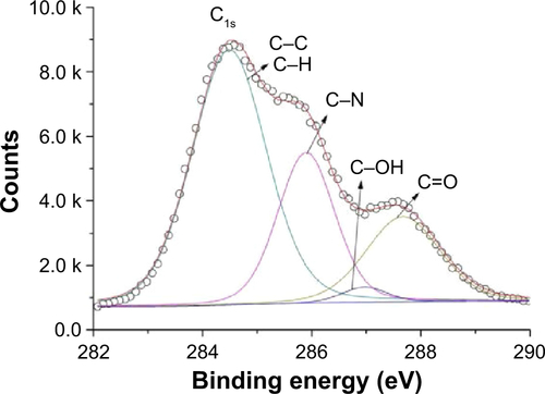 Figure S2 XPS spectrum of the core level of C1s in the purified AuNPs.Notes: The C1s spectrum could be resolved into four components that can bind to nanoparticle surface, consistent with previous reports.Citation10,Citation11 The peak at binding energies at 284.6 eV corresponded to C–C and C–H. Carbon bonded with nitrogen (C–N) and hydroxyl groups (C–OH) had binding energies at 285.6 and 286.7 eV, respectively. The peak at 287.8 eV was attributed to carbonyl groups.Abbreviations: XPS, X-ray photoelectron spectroscopy; AuNPs, gold nanoparticles.