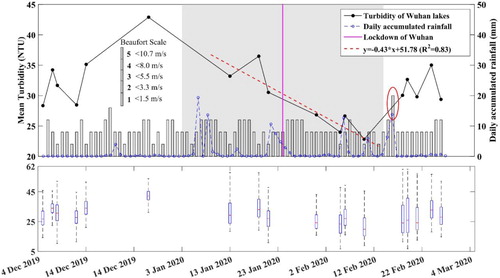 Figure 7. The mean turbidity of Wuhan lakes and the change trend during the COVID-19 epidemic, along with the daily accumulated precipitation records and wind force records (Beaufort Scale). The boxplots (including minimum, maximum, median, first quartile, and third quartile) of turbidity values are plotted to show spatial heterogeneity. Note that the shadow box, which represents three weeks before and after the lockdown of Wuhan, is the specific period selected for the trend analysis. The red circle highlights the fresh breeze (Beaufort Scale = 5) on 15 February 2020. (Colour online)