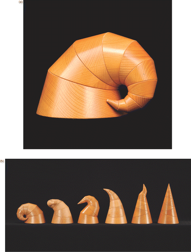 Figure 4. Antal Kelle (http://www.artformer.com/): top (a) Helix Interactive Composition 3D, 2000. Varnished beech wood with moving structure inside, 15.75″ × 15.75″ × 15.75″ and bottom (b) Helix Group. A variety of forms produced by rotating the cone segments of one helix. See insert for colour version of this figure.