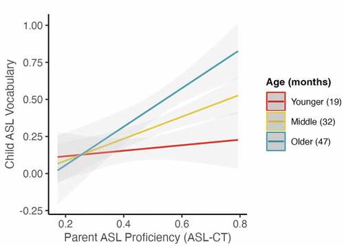 Figure 2. Interaction effect between child age and parent American Sign Language (ASL) proficiency on child ASL vocabulary size. Plot generated with the plot model function in the package sjPlot (Lüdecke Citation2021). The three lines represent the estimated values for children at the mean age (32 months), one standard deviation younger than the mean age (19 months), and one standard deviation older than the mean age (47 months).