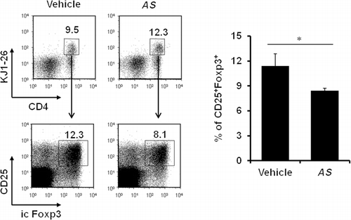 Figure 4. Addition of AS extracts results in a dramatic reduction in the generation of OVA-specific Foxp3+ Treg cells.Note: After two weeks of immunization, total splenocytes from either vehicle- or AS extract-treated mice were prepared and permeabilized for intracellular Foxp3 staining. The intracellular expression of Foxp3 was analyzed by flow cytometry gated on CD4+CD25+KJ1-26+ population. Data are shown as the means ± SD (n = 3; *P ≤ 0.05).