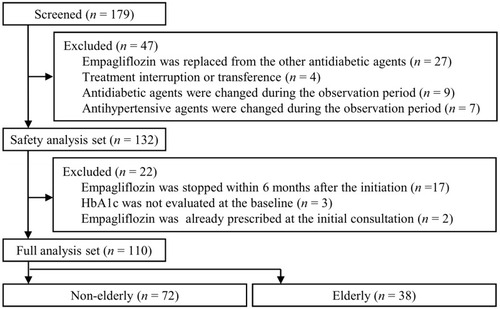 Figure 1 Flowchart of patient selection. The safety of empagliflozin was analyzed in the safety analysis set (n=132) and the effectiveness was investigated in the full analysis set (n=110).