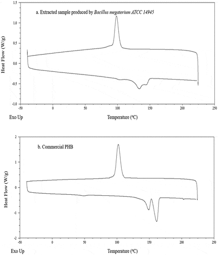 Figure 7. Comparison of DSC profiles between PHAs extracted from bacterial cell grown in VFAs- rich stream from acidogenic fermentation of food waste (a) and a commercial PHB sample (b)