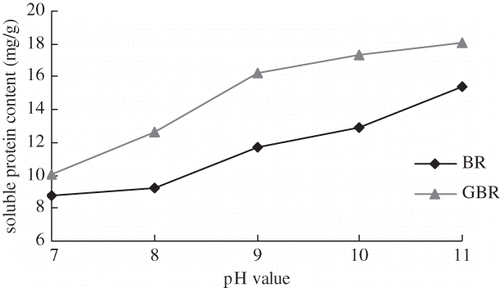Figure 6 Relationship between extraction solvent pH value and protein content. Extraction conditions: temperature 30°C; time 2 h; and solid:solvent ratio 1:9.