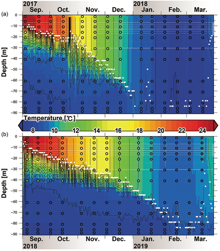 Figure 3. Hovmöller diagrams of the hourly vertical profiles of the simulated water temperatures (colour shades) during the cooling period from September to March in (a) 2017/2018 and (b) 2018/2019, and observed water temperatures (17B in Fig. 1) denoted by the coloured dots. White dots indicate the daily mean mixed layer depth (bottom of the mixed layer). Black column-like contours around mid-October in 2017 indicate the dense isotherms.