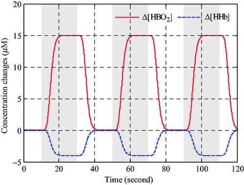 Figure 2. Ideal task-related haemodynamic changes in the Grey matter.