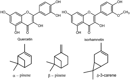Figure 1. Chemical structures of some main phytochemicals present in the aerial parts of P. ferulacea plant.
