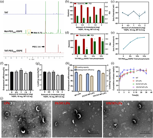 Figure 2 Preparation and characterization of the TAT-MT-LIPs. (a) 1H-NMR spectra of TAT, Mal-PEG2000-DSPE, and TAT-PEG2000-DSPE. (b and c) The effect of cholesterol on the size, PDI, and zeta potential of liposomes. (d and e) The effect of TAT-PEG2000-DSPE on the size, PDI, and zeta potential of liposomes. (f and g) The effect of cholesterol on the liposome’s entrapment efficiency and loading capacity for MT. (h) The effect of TAT-PEG2000-DSPE on the liposome’s entrapment efficiency and loading capacity for MT. (i) the release profile of MT from liposomes. (j) The TEM images of the liposomes.