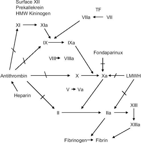 Figure 1 Schematic drawing of the coagulation cascade and the sites of action of the antithrombotic agents fondaparinux (Xa inhibition), heparin, and low-molecular-weight heparin (LMWH).