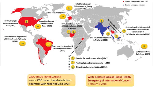 Figure 4. Landmarks in Zika virus epidemiology. The red area depicts Zika virus presence and/or serological reports (Since 1947–2016) and in blue denoted serological evidences of Zika in Southeast Asia.