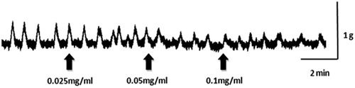 Figure 3. Effect of CLE on a mouse isolated uterine horn, which is pretreated with propranolol (10−6 M). CLE (0.025, 0.05 and 0.1 mg/mL) was added to the bath-fluid at the upward-pointing solid arrow.