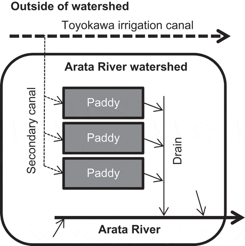 Figure 4 Schematic diagram of the paddy irrigation in the study watershed.