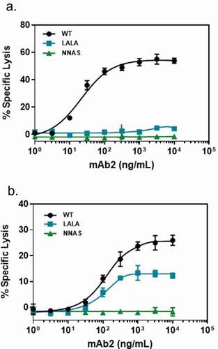 Figure 3. Comparison of the in vitro effector functions of mAb2 wild-type, NNAS and LALA mutants. (a) ADCC activities represent percent specific target cell lysis by effector cells in the presence of various concentrations of antibody mAb2. Monoclonal human cytotoxic T lymphocytes transduced with human FcγRIIIa (V158) was used as effector cells. (b) CDC activities show the percentage of specific target cell lysis by complement in the presence of various amounts of antibody mAb2. Data are presented as mean and standard deviation from triplicates.