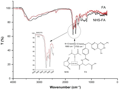 Figure 2 The FTIR spectroscopy figure of NHS-FA compared with FA.Notes: NHS-FA presents two remarkable absorption peaks at 1660 cm−1 due to the N–O bond, and at 1700 cm−1 because of the C=O bond. This phenomenon proves that FA has been successfully transferred into NHS-FA.Abbreviations: FA, Folate; NHS-FA, N-hydroxysuccinimide ester of folate; NHS, N-hydroxysuccinimide.