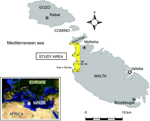 Figure 1. Location of the study area. Numbers indicated within the study area refers to the photographs reported in the paper.