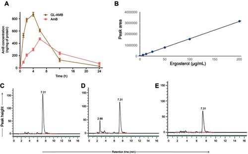 Figure 6 Macrophage uptake of AmB as measured by HPLC (A). Ergosterol standard curve for HPLC (B) and measurement of ergosterol content in parasites either untreated (C) or treated with AmB (D) and GL-AmB (E).Abbreviations: AmB, amphotericin B; HPLC, high pressure liquid chromatography; GL, GNP-lipoic acid product; GNP, gold nanoparticle.