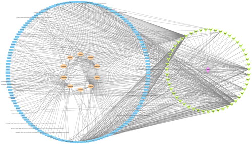 Figure 2. A drug-components-disease-targets network of four parts. After inputting the main active components of each herb in Guyuan decoction (GYD) and the 51 latent common targets obtained, Cytoscape 3.7.1 software was used to construct the ‘drug-components-disease-targets’ interaction network diagram. FRNS: frequently relapsing nephrotic syndrome; green: 51 latent common targets; pink: FRNS targets; flesh color: Chinese herbal medicine; blue: active ingredients of GYD.