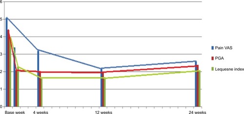 Figure 1 Pain VAS, PGA, and Lequesne index scores at baseline, 1 week after the first injection, and at 4, 12, and 24 weeks after the first injection.