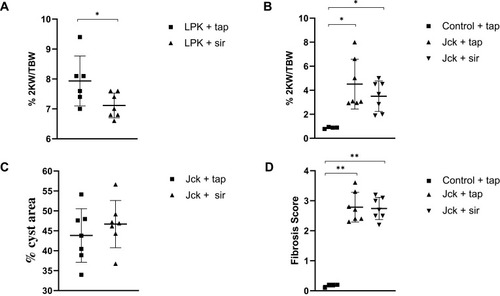 Figure 8 Effect of sirolimus (sir) compared to the vehicle (tap water) on the progression of PKD in LPK rats and jck mice. (A) Effect of sirolimus on percentage 2KW/BW ratio in LPK rats; (B) Effect of sirolimus on the percentage 2KW/BW ratio in jck mice; (C) Percentage cyst area in jck mice (D) Degree of collagen deposition in jck (vehicle/sirolimus treated) and control mice. *P<0.05 and **P<0.001. 2KW/BW: two kidney weight to bodyweight ratio.