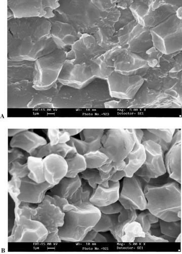 Figure 1 Raw rice flour particles obtained by (A) dry and (B) wet grinding.