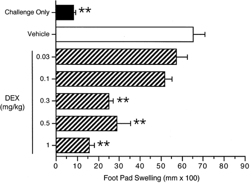 Figure 4.  Effects of DEX exposure on the DTH response to C. albicans. Mice were administered either vehicle (0.5% methylcellulose) or DEX PO daily for 28 days. Mice were sensitized on Day 21 with C. albicans. The right footpad of each mouse was pre-measured and challenged with chitosan antigen on Day 29, with post-measurement occurring 24 [± 2] h after challenge. The background footpad swelling was determined in a group of mice that were challenged but not sensitized (challenge only). The data are expressed as footpad swelling (mm × 100). Values represent the mean (± SE) of two combined studies, each containing 7–8 animals per group. Vehicle control means between studies were not statistically significantly different (71.0 [± 7.6] vs 60.3 [± 7.9] mm × 100. ** p < 0.01.