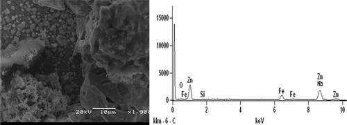 Figure 2. SEM/EDS obtained for Zn-10Nb2O5-5SiO2 electrodeposition.