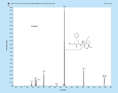 Figure 1.  MS/MS fragmentation pattern of (A) enalapril (EPL, (B) enalaprilat (EPLT) and (C) tolbutamide (TBM).