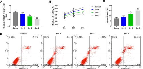 Figure 2. The effects of sevoflurane on cell viability and apoptosis. A: The miR-221-3p level in different groups was detected by quantitative real-time polymerase chain reaction (qRT-PCR). B: Cell viability in different groups was detected by Cell Counting Kit-8 (CCK-8). C: The apoptosis was promoted by sevoflurane. D: The apoptosis rate in different groups was detected by flow cytometer. Four groups were designed in this study: control group (cell cultured in 5% O2 and 95% CO2); Sev1 group (cell cultured in 5% O2, 94% CO2 and 1% sevoflurane); Sev2 group (cell cultured in 5% O2, 93% CO2 and 2% sevoflurane); Sev3 group (cell cultured in 5% O2, 92% CO2 and 3% sevoflurane). *p < 0.05 vs. control, **p < 0.01 vs. control.