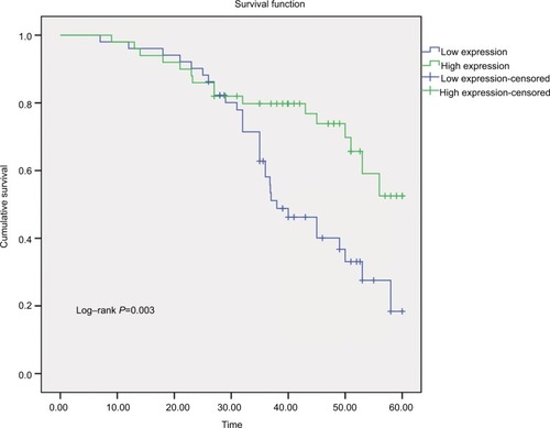 Figure 6 The Kaplan–Meier survival curve.Note: The median ΔCt value was used as a cutoff point.Abbreviation: Ct, cycle threshold.