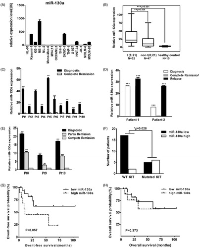 Figure 2. (A) Rq-PCR results of miR-130a expression in 16 AML cell lines, which reveal that the KASUMI-1 and SKNO-1 cell lines with t(8;21) and the ME-1 cell line with inv(16) had much higher expression of miR-130a when compared with other AML cell lines. (B) Rq-PCR results of miR-130a expression in 79 patients with AML and 10 healthy controls, which show that expression of miR-130a was significantly higher in primary BM samples with t(8;21) than in those with other cytogenetic characteristics and normal controls. (C) Rq-PCR results of miR-130a expression in 10 AML patients with t(8;21). The results demonstrate that all patients had much higher miR-130a expression level at diagnosis than at complete remission (CR). (D) Rq-PCR results of miR-130a expression in two AML patients with t(8;21). The results reveal that expression of miR-130a decreased significantly at the time of CR compared with that detected at diagnosis, contrasting with a sharp increase in the relapsed sample (***P < 0.01). (E) Rq-PCR results of miR-130a expression in three AML patients with t(8;21). The results show that expression of miR-130a decreased gradually both at the time of partial remission (PR) and CR compared with that detected at diagnosis. (F) Expression of miR-130a in AML patients according to mutational status of KIT. The results show that patients with KIT mutation had much higher overexpression of miR-130a (P = 0.028). (G) Event-free survival (EFS) of AML patients with t(8;21) in this study. The results reveal that t(8;21) patients with lower miR-130a expression had slightly better EFS compared with those had higher miR-130a expression (P = 0.057). (H) Overall survival (OS) of AML patients with t(8;21) in this study. The results reveal that expression level of miR-130a showed no effect on OS of t(8;21) AML (P = 0.373).