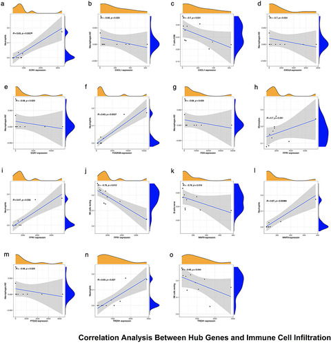 Figure 8 (a-o) Scatter plots of correlation between (CCR1, CXCL1, CXCL8, EGR1, FCGR3B, FOS, FPR1, MMP9, PTGS2, and TREM1) expression and different immune cell contents, neutrophil, M2 macrophage, T cells CD8, monocyte, NK cell, naive B cell.