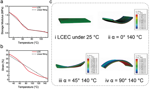 Figure 9. Results from FEA modeling illustrate stress distributions across various LCEC actuator configurations: (a) DMA and linear fitting result of LCE; (b) contraction strain of LCE depending on different temperature; (c) i LCEC at ambient temperature; ii LCEC exhibiting bending deformation for the configuration α = 0°; iii LCEC displaying twisting deformation under the configuration α = 45°; iv LCEC presenting bending deformation in the opposite direction for the configuration α = 90°, in contrast to the configuration α = 0°.