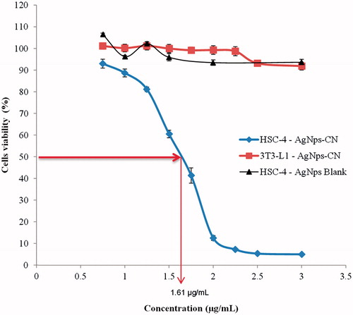 Figure 1. Cytotoxic effects of AgNps-CN and AgNps blank towards HSC-4 cell lines and 3T3-L1 cell lines. Noted that there is no cytotoxic effects towards normal cell lines (3T3-L1) even at the highest concentration (3 µg/mL) while IC50 for HSC-4 cell lines is 1.61 ± 0.14 µg/mL whereas blank AgNps does not cause any cytotoxic activity towards HSC-4 cell lines. Data expressed as mean ± SD of three independent experiments.