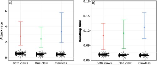 Figure 2. Non-parametric bootstrapped parameters (n = 999) for (a) attack rate and (b) handling time estimates from Rogers’ random predator equation with 95% confidence intervals considering each tested group of crayfish. Points represent the initial estimate from the random predator equation.