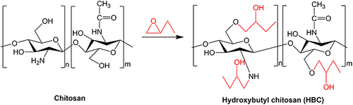 Figure 7 The synthetized reaction of etherification chitosan. chitosan (black line) and epoxide (red line.