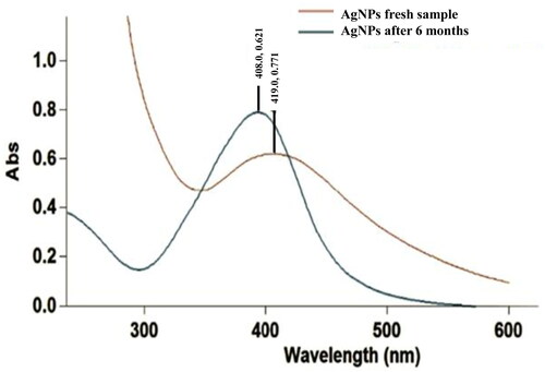 Figure 4. UV-vis spectra of AgNPs at different time points, i.e. fresh after biosynthesis and after storage for 6 months at room temperature; done to study the stability of biosynthesized AgNPs.
