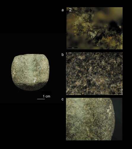 Figure 5. Microwear traces on the perforation of the battle axe: (a) flat, reflective micro-polish, 200x; (b) detailed view of the polished perforation interior showing levelling of grains (scale bar 500 μm); (c) rounding of the topography of the fractured edges of the perforation (photo taken courtesy of Wiltshire Museum, Devizes)