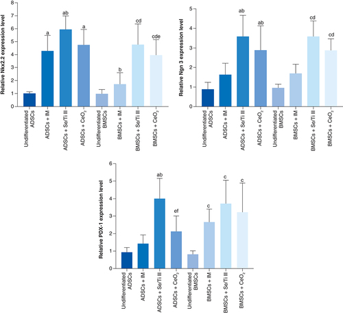 Figure 1. Relative mRNA expression analysis of insulin-producing cells-related genes (Nkx2.2, Ngn-3 and PDX-1) in adipose-derived stem cells and bone marrow mesenchymal stem cells-derived insulin-producing cells.Data are displayed as (mean ± SD) procured from four independent experiments (n = 4). (A) Significant variation at p < 0.05 relative to undifferentiated ADSCs. (B) Significant variation at p < 0.05 relative to (ADSCs + IM). (C) Significant variation at p < 0.05 relative to undifferentiated BMSCs. (D) Significant variation at p < 0.05 versus (BMSCs +IM). (E) Significant change at p < 0.05 relative to (ADSCs + Se/Ti III). (F) Significant variation at p < 0.05 relative to (BMSCs + Se/Ti III).ADSC: Adipose-derived stem cell; BMSC: Bone marrow mesenchymal stem cell; IM: Inductive media.