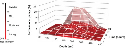 Figure 7 Three-dimensional cumulative distributional behavior of NR, based on pixel analyses of CLSM images after application of NLC-MNs to minipig skin.Notes: The redness occupancy is represented by two different panels: bottom panel for regions with strong and moderate redness; overlaid panel for the mild redness region.Abbreviations: CLSM, confocal laser scanning microscopy; NLC-MNs, nanostructured-lipid-carrier-loaded microneedles; NR, nile red.